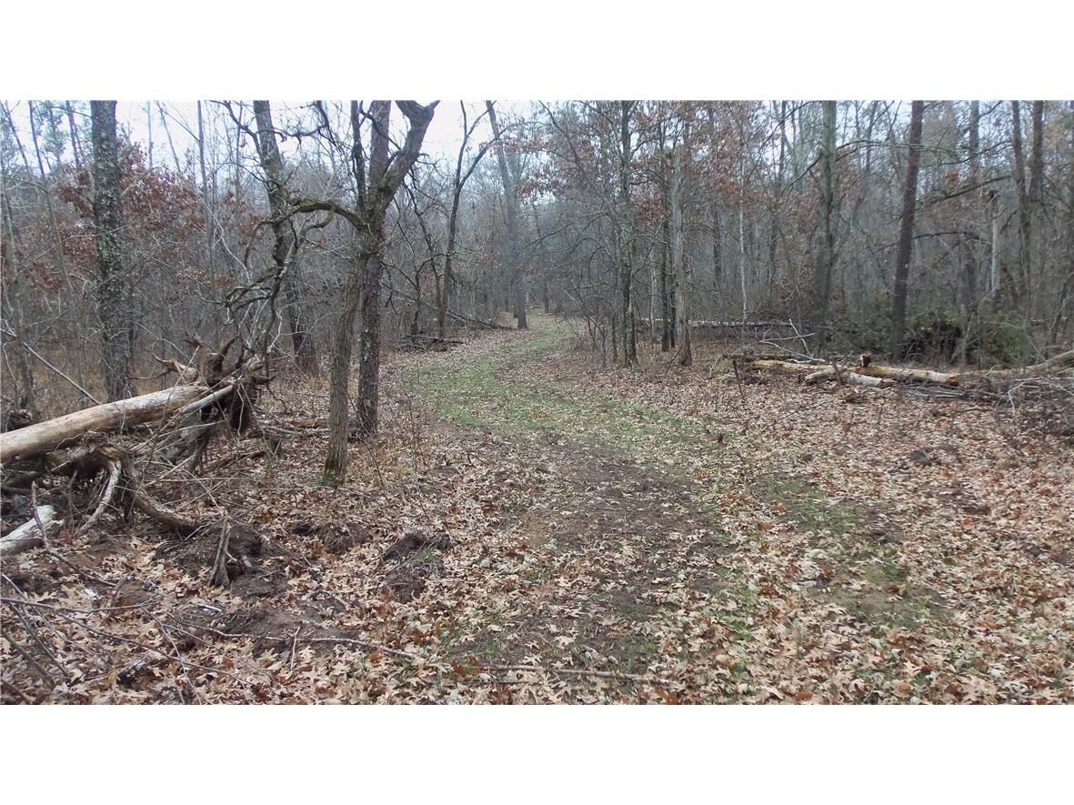 Lot 5 Canute Creek Trl Grantsburg WI 54840 1597671 image5