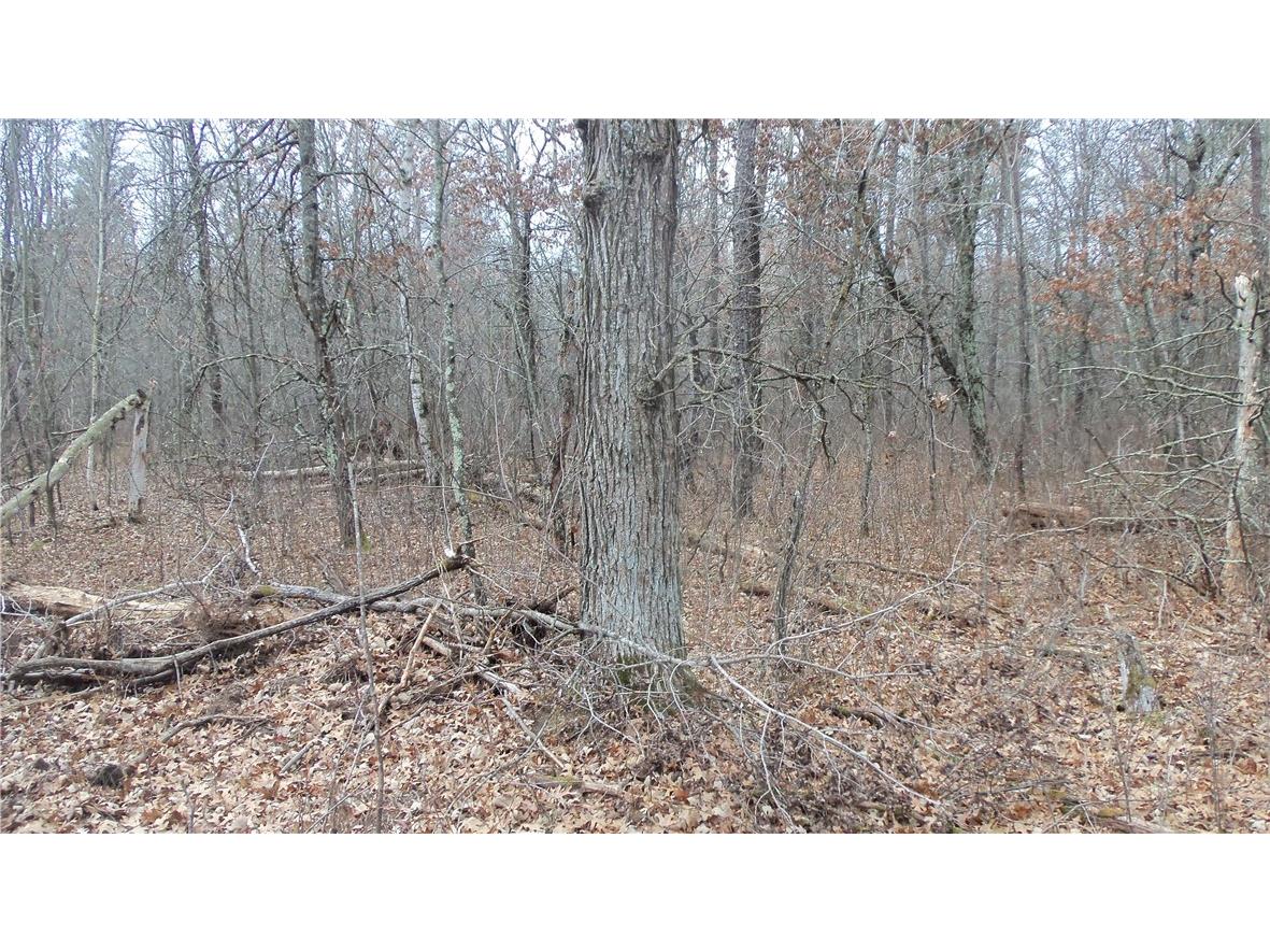 Lot 5 Canute Creek Trl Grantsburg WI 54840 1597671 image6