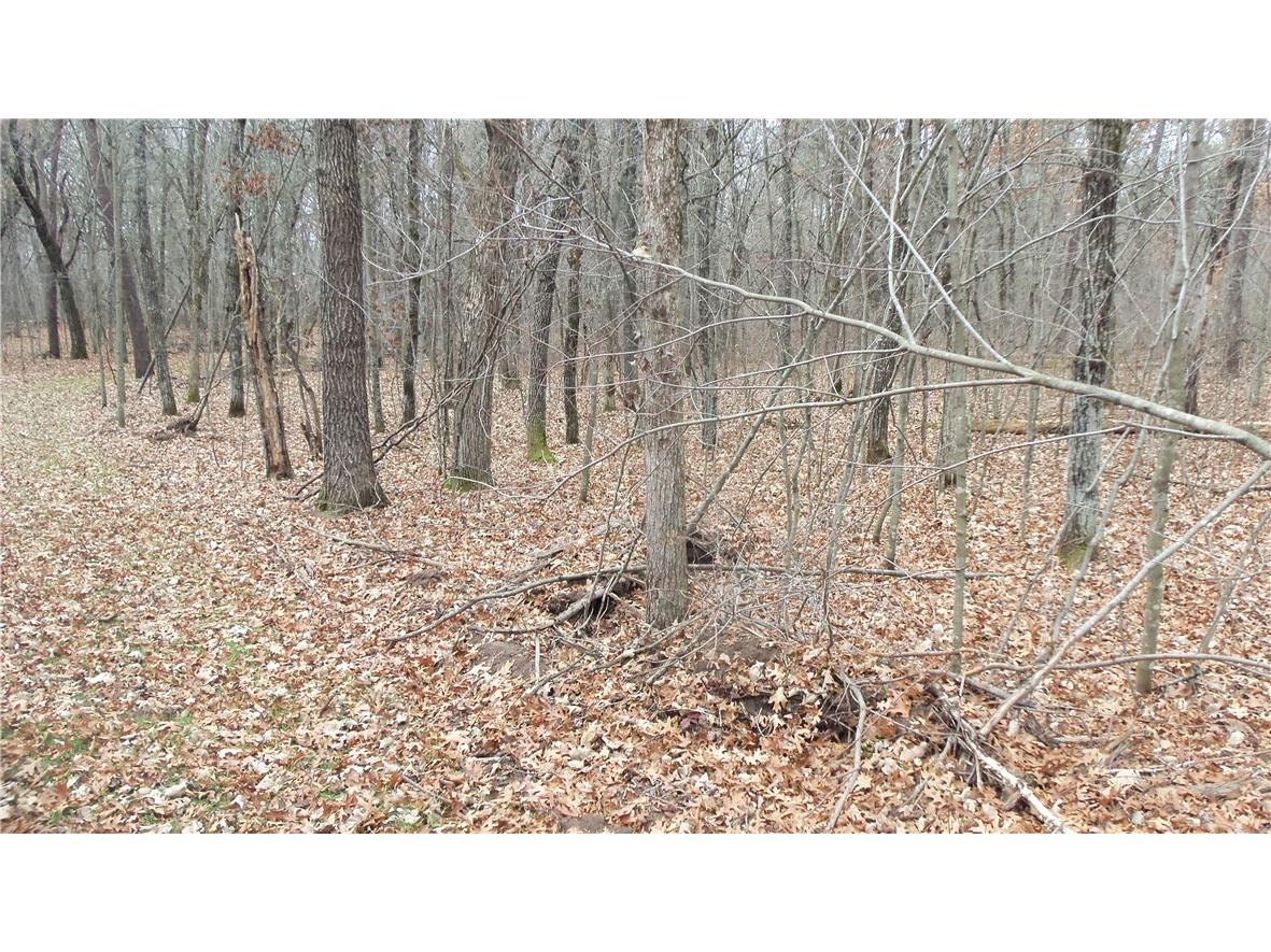 Lot 5 Canute Creek Trl Grantsburg WI 54840 1597671 image7
