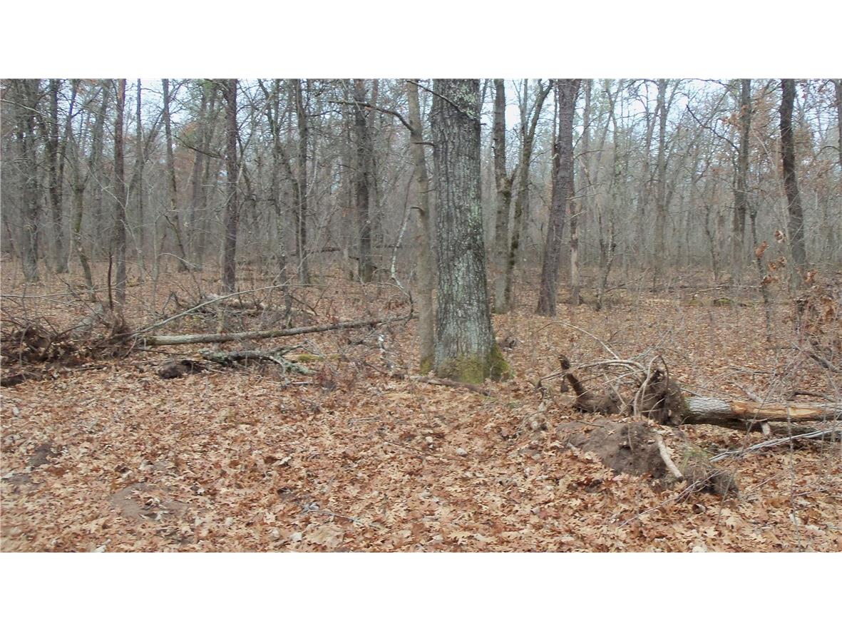 Lot 5 Canute Creek Trl Grantsburg WI 54840 1597671 image8