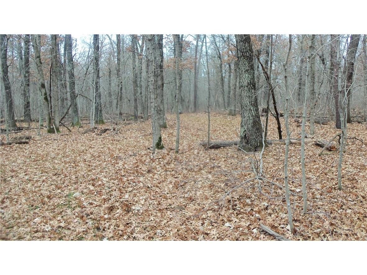 Lot 5 Canute Creek Trl Grantsburg WI 54840 1597671 image9