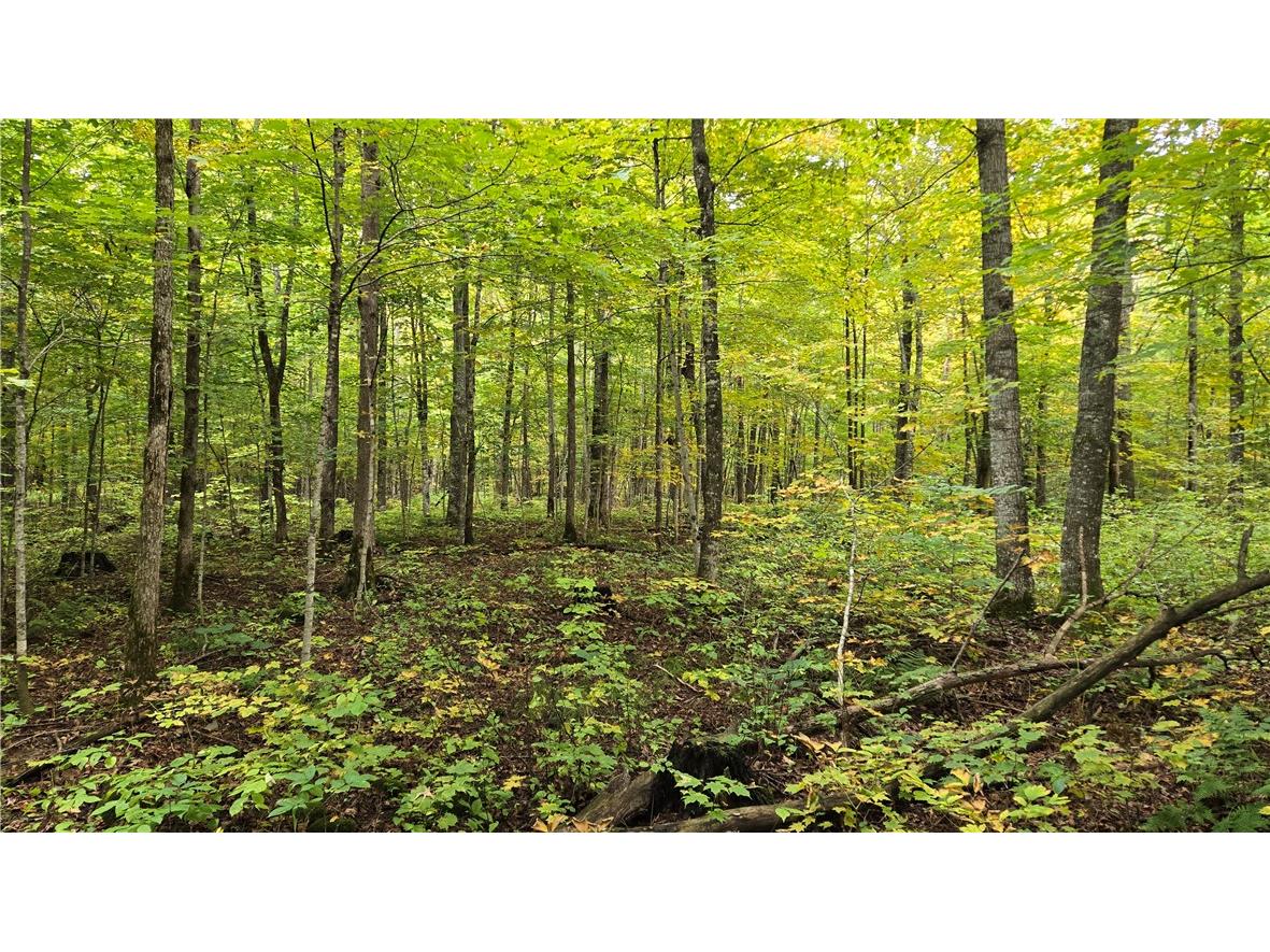 Lot 5 Deer Lake Rd. Exeland WI 54835 - Deer Lake 1596564 image15