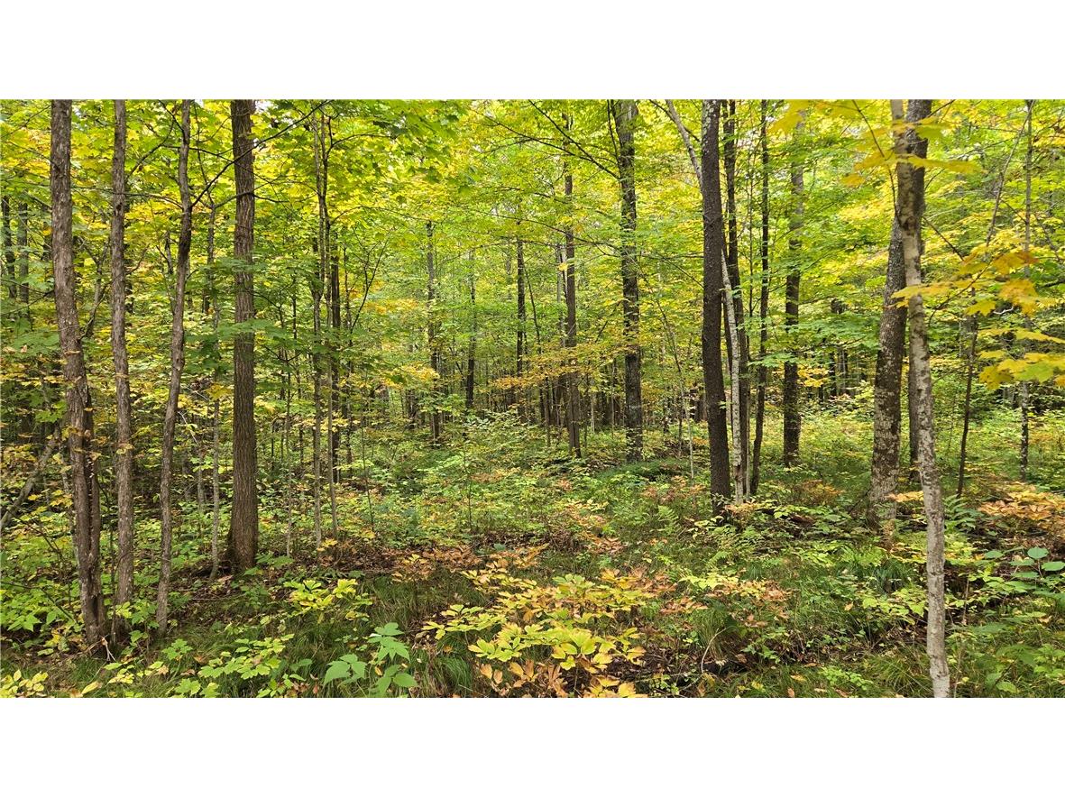 Lot 5 Deer Lake Rd. Exeland WI 54835 - Deer Lake 1596564 image18