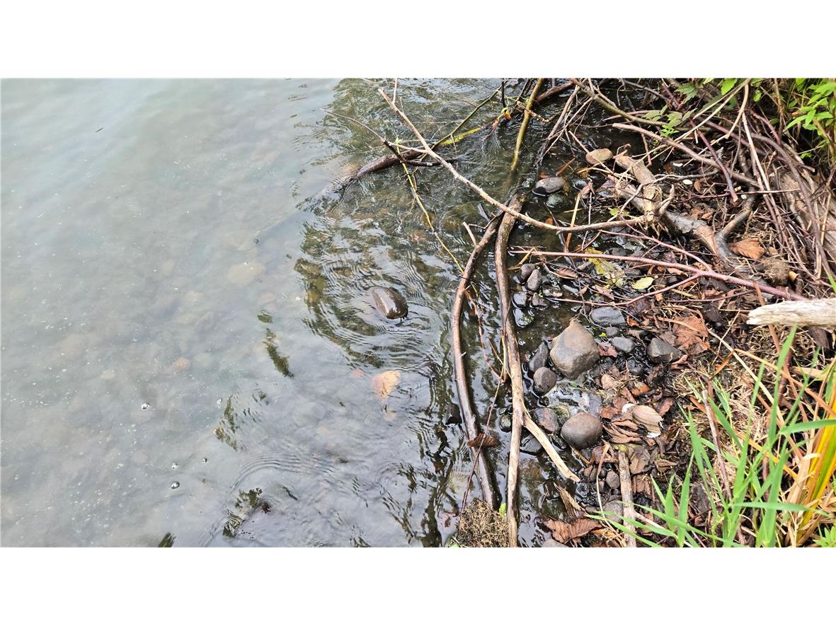 Lot 5 Deer Lake Rd. Exeland WI 54835 - Deer Lake 1596564 image19