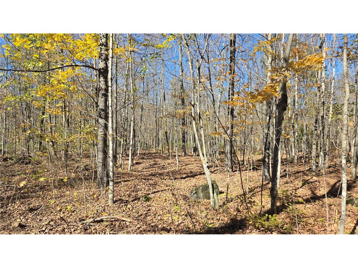 Lot 5 Deer Lake Rd. Exeland WI 54835 - Deer Lake 1596564 image8
