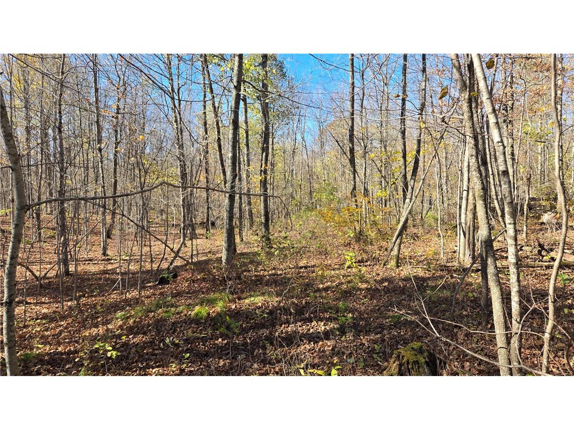 Lot 5 Deer Lake Rd. Exeland WI 54835 - Deer Lake 1596564 image9
