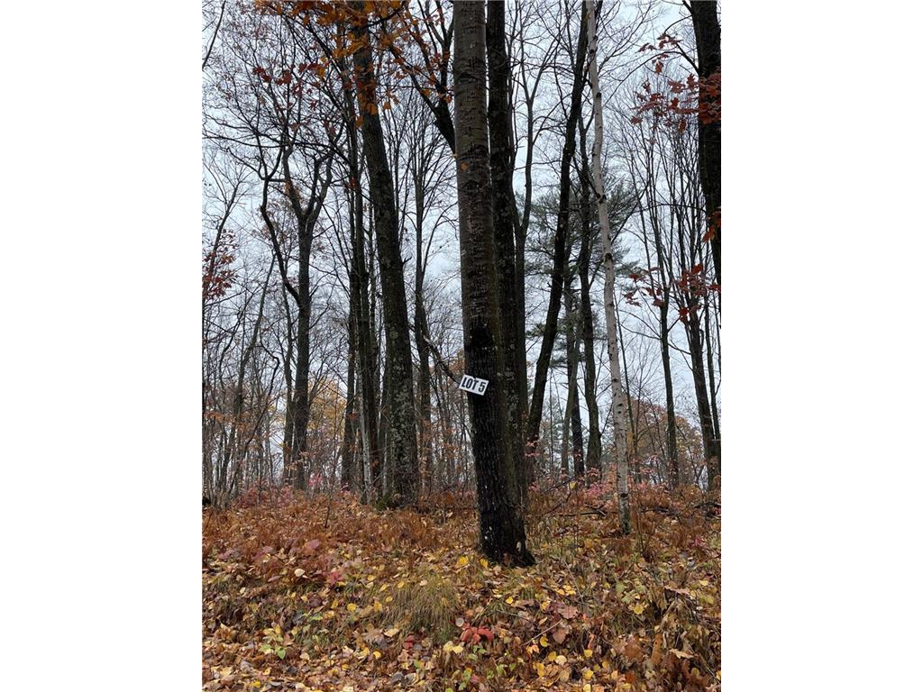 Lot 5 Eagles Nest Road Birchwood WI 54817 1578049 image1
