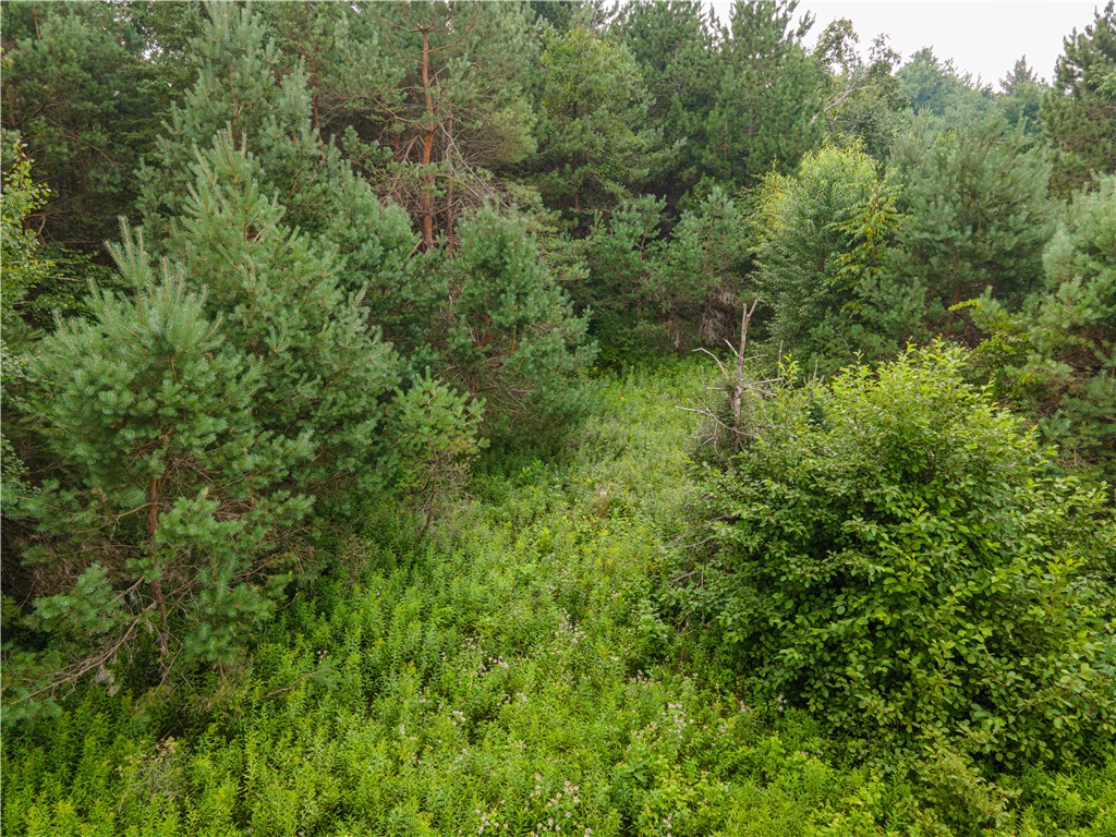 Lot 5 Fairway Drive Ladysmith WI 54848 1594265 image3