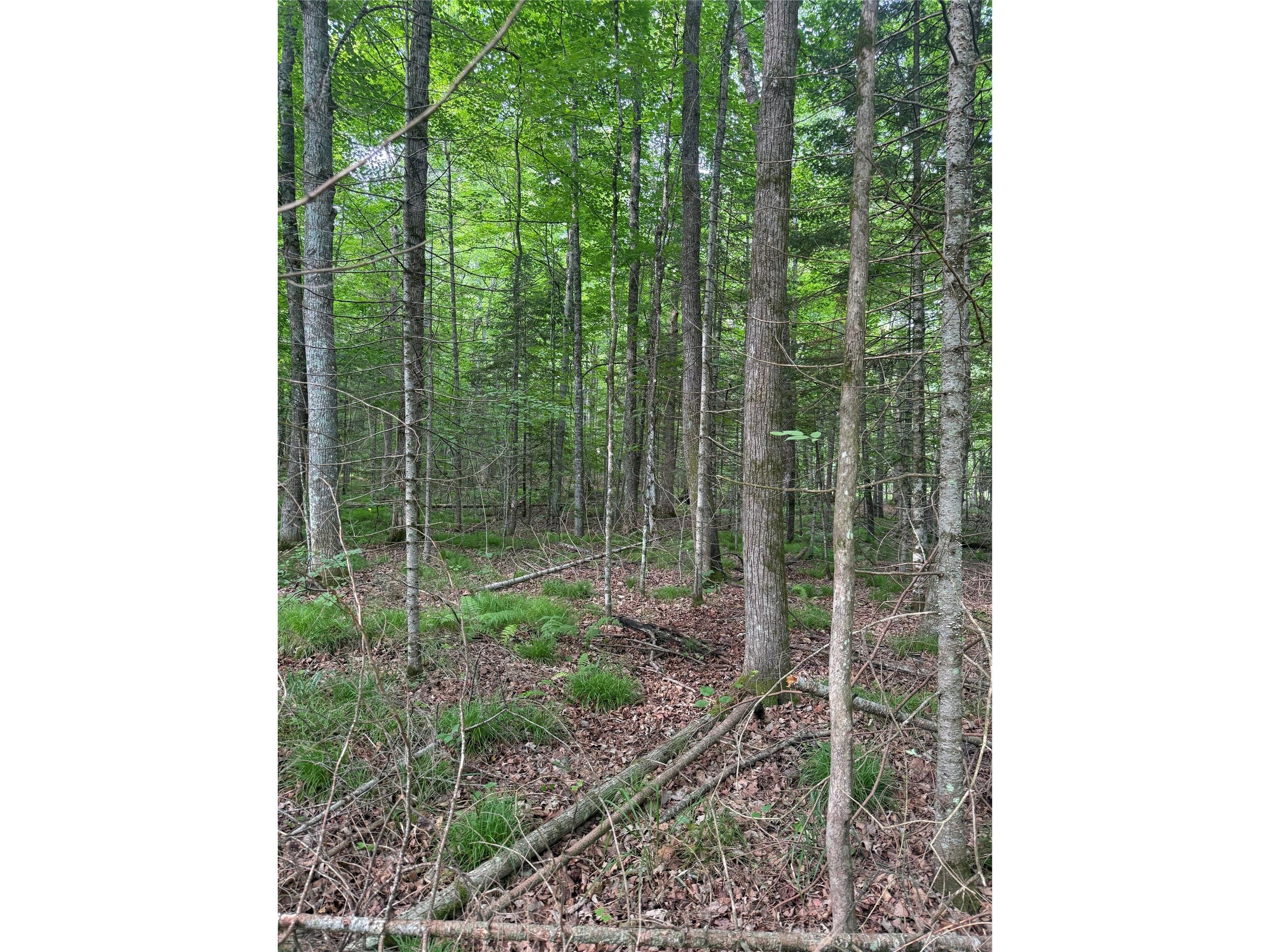 Lot 5 Flambeau Point Road Ladysmith WI 54848 1602917 image2