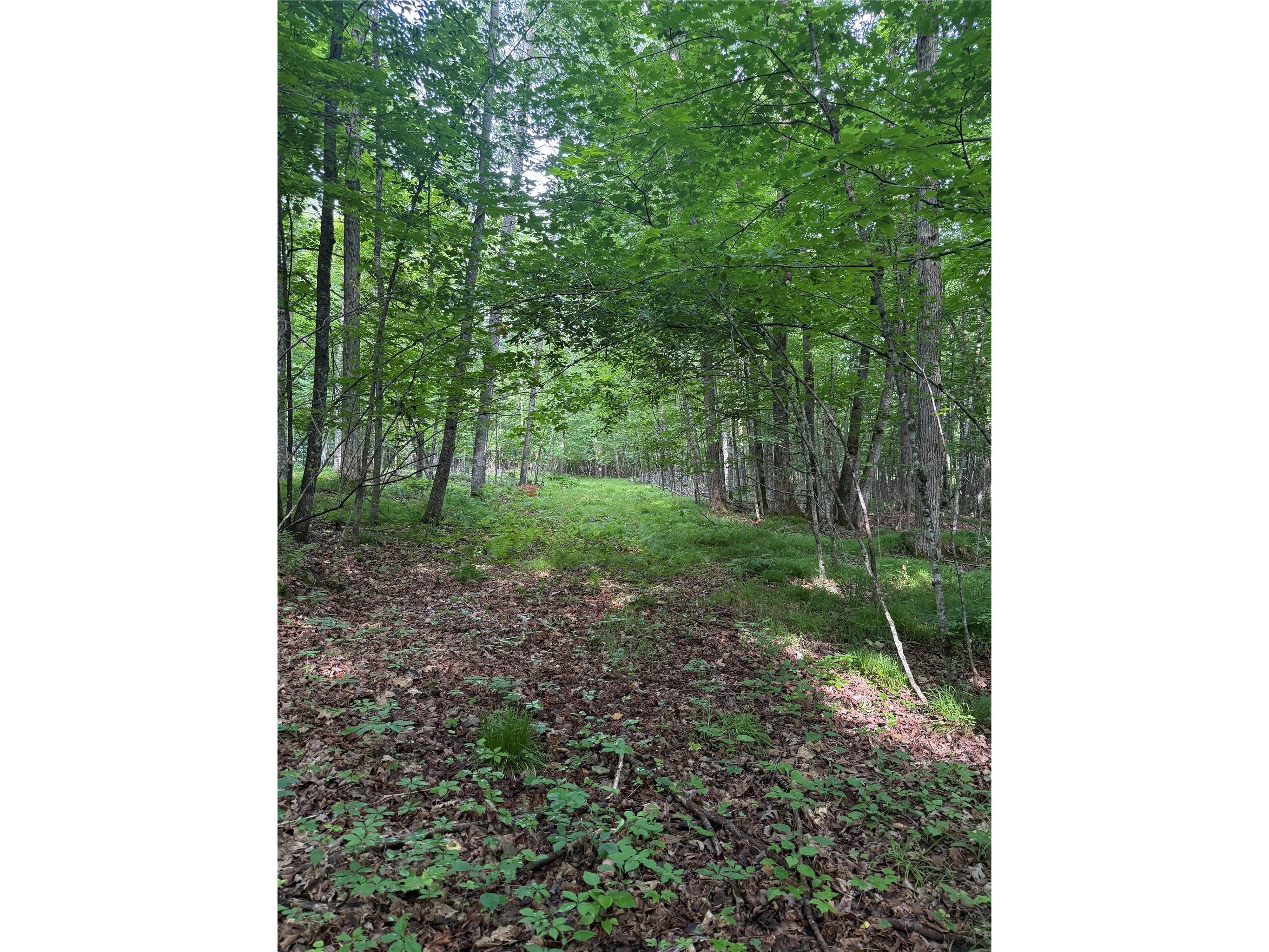 Lot 5 Flambeau Point Road Ladysmith WI 54848 1602917 image3