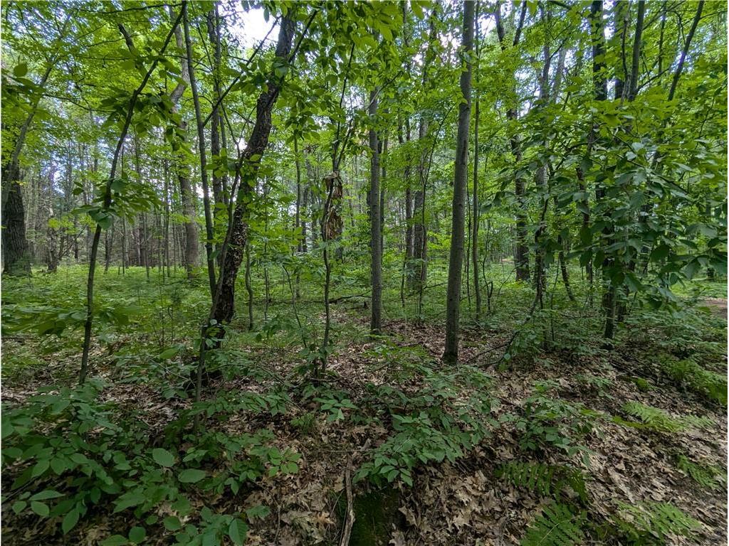 Lot 5 Fosmo Webster WI 54893 - Big Sand Lake 1584239 image15