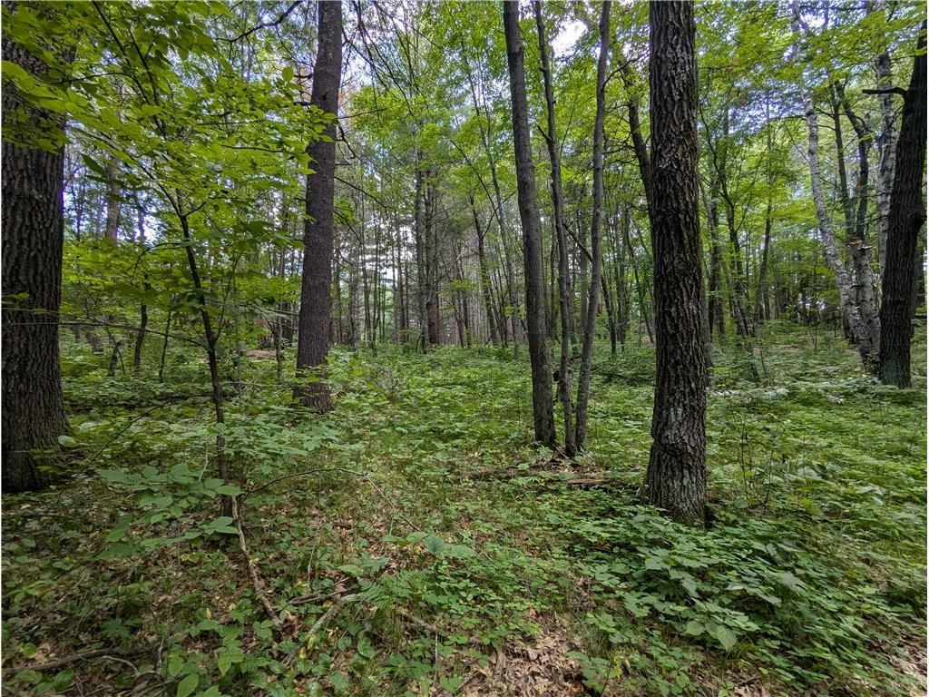 Lot 5 Fosmo Webster WI 54893 - Big Sand Lake 1584239 image16