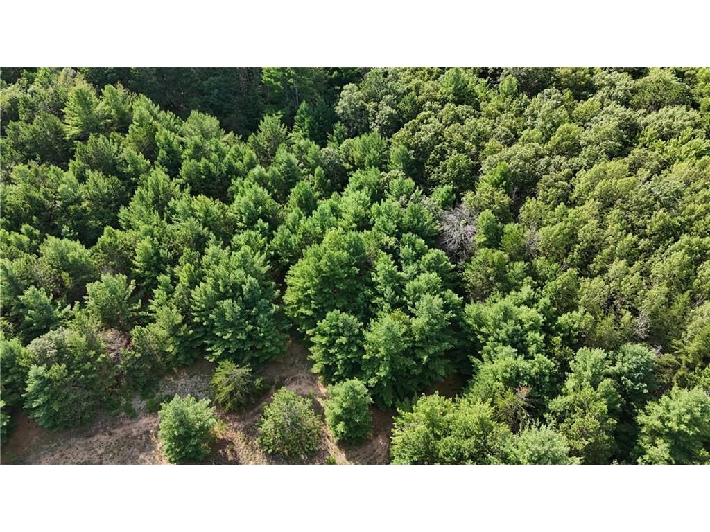 Lot 5 Fosmo Webster WI 54893 - Big Sand Lake 1584239 image6