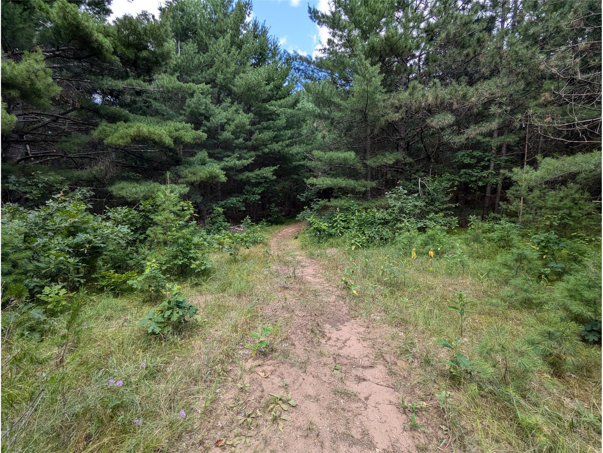 Lot 5 Fosmo Webster WI 54893 - Big Sand Lake 1599373 image2