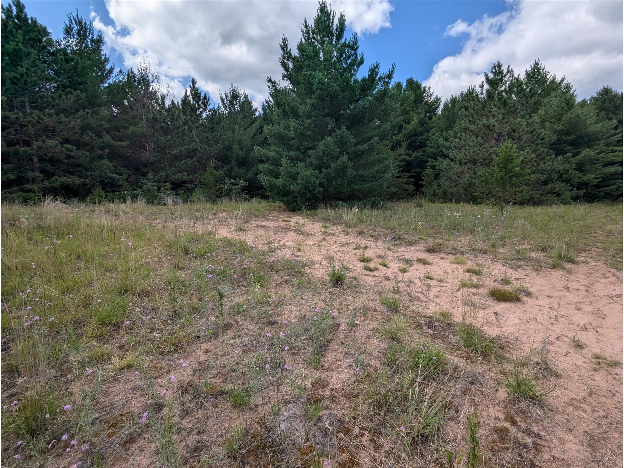 Lot 5 Fosmo Webster WI 54893 - Big Sand Lake 1599373 image3