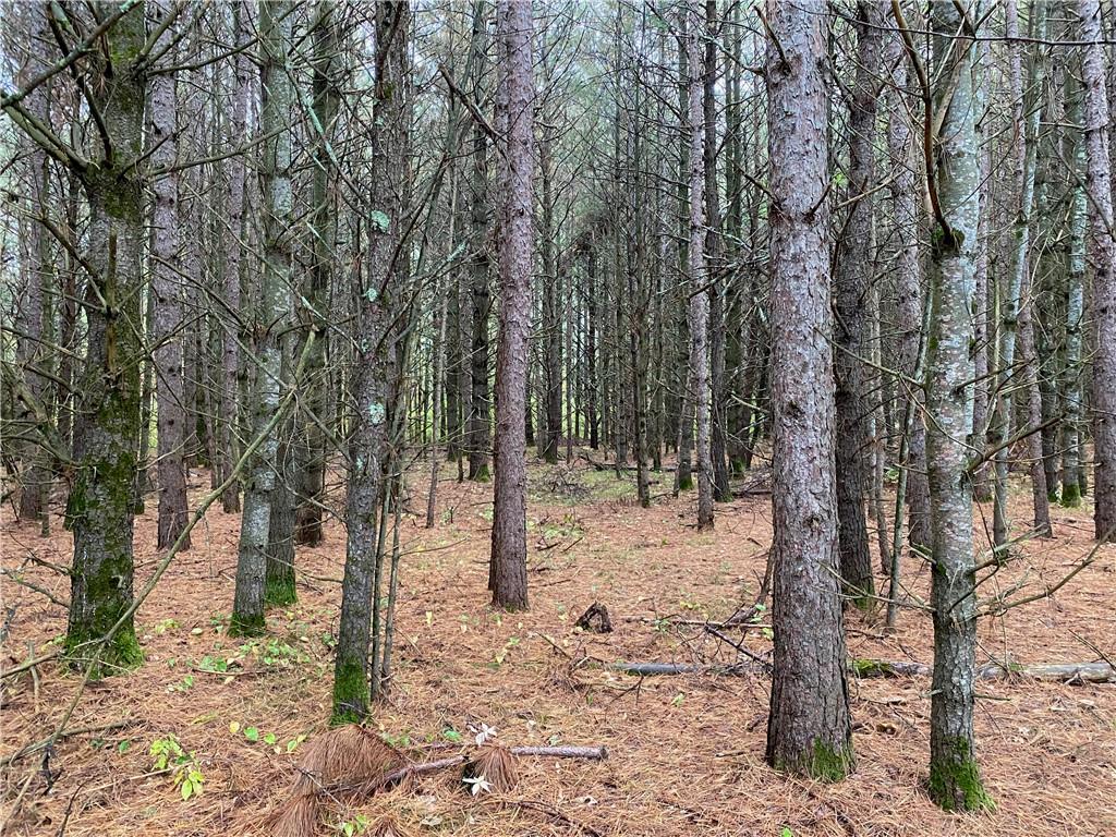 Lot 5 Indian Trail Road Hayward WI 54843 1577260 image1