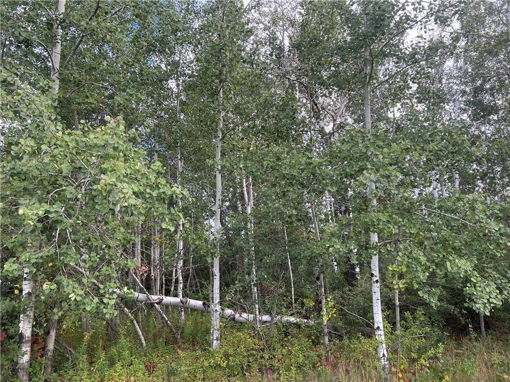 Lot 5 Northland Dr. Spooner WI 54801 1572862 image1