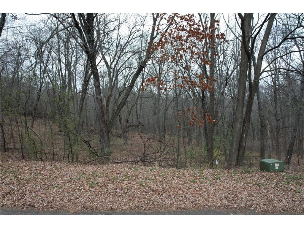 Lot 5 Rye Bluff Road Black River Falls WI 54615 1587310 image1