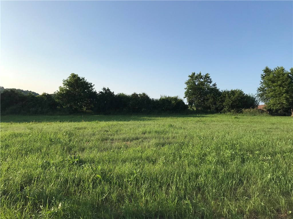 Lot 5 W 3rd Avenue Eleva WI 54738 1520957 image1