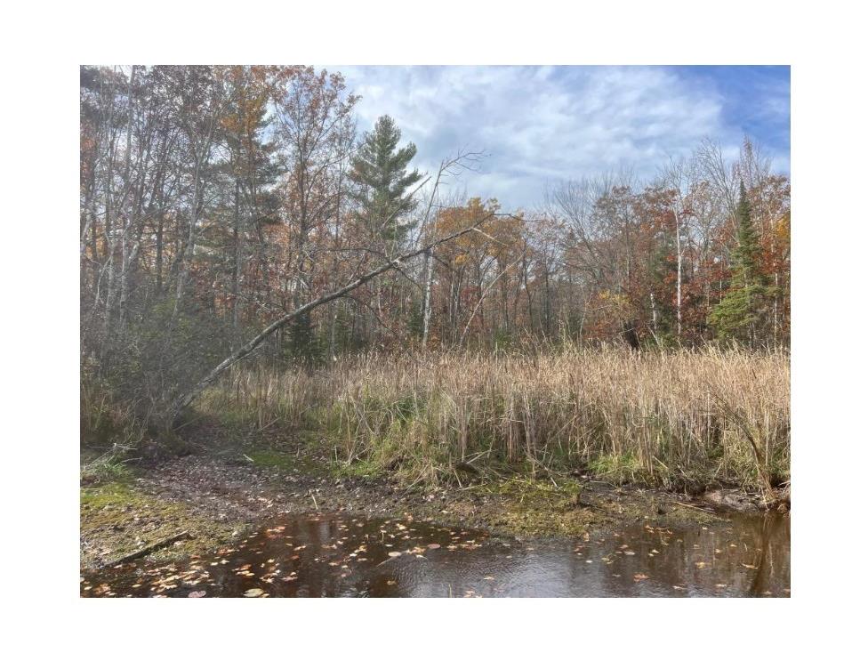 Lot 5 XXX Blaiszik's Bay Lane Hayward WI 54843 - Lake Chippewa 1590469 image13