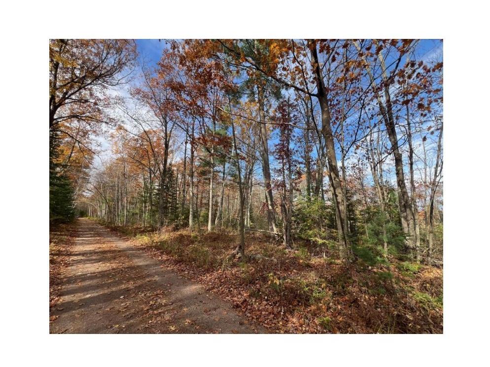 Lot 5 XXX Blaiszik's Bay Lane Hayward WI 54843 - Lake Chippewa 1590469 image14
