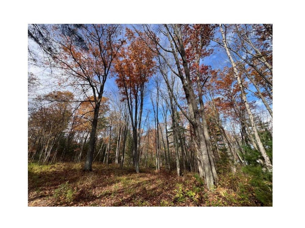 Lot 5 XXX Blaiszik's Bay Lane Hayward WI 54843 - Lake Chippewa 1590469 image15