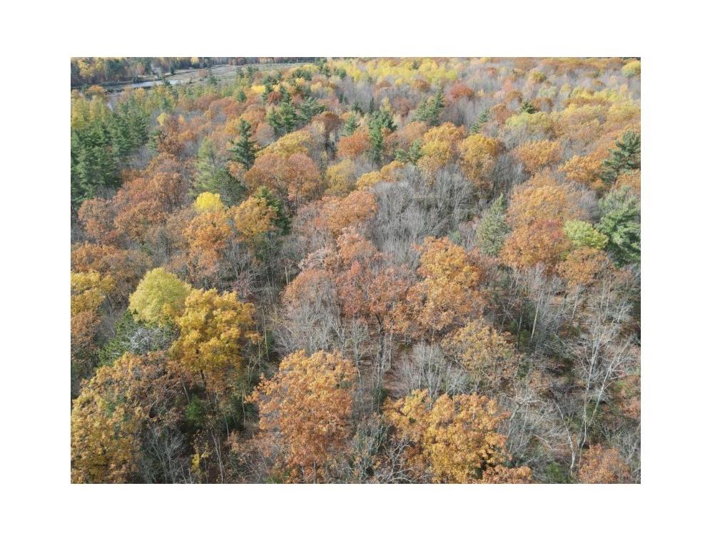 Lot 5 XXX Blaiszik's Bay Lane Hayward WI 54843 - Lake Chippewa 1590469 image18