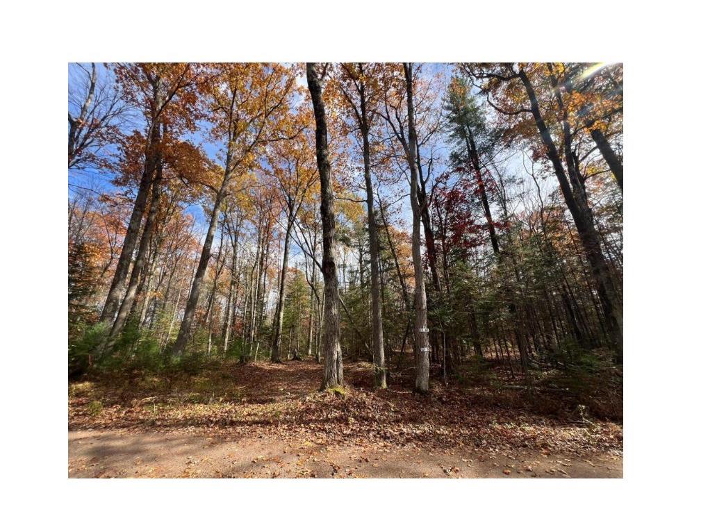 Lot 5 XXX Blaiszik's Bay Lane Hayward WI 54843 - Lake Chippewa 1590469 image5