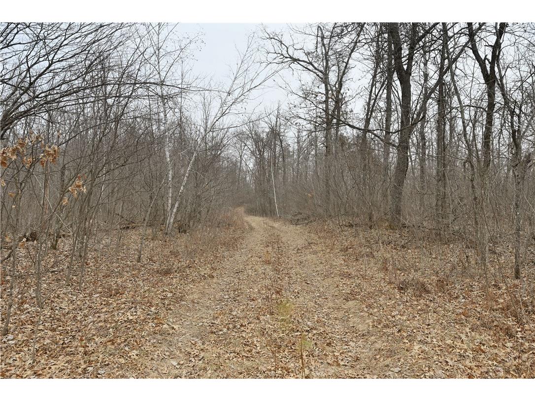 Lot 5 and Lot 11 Kelly Lane Danbury WI 54830 1590331 image1