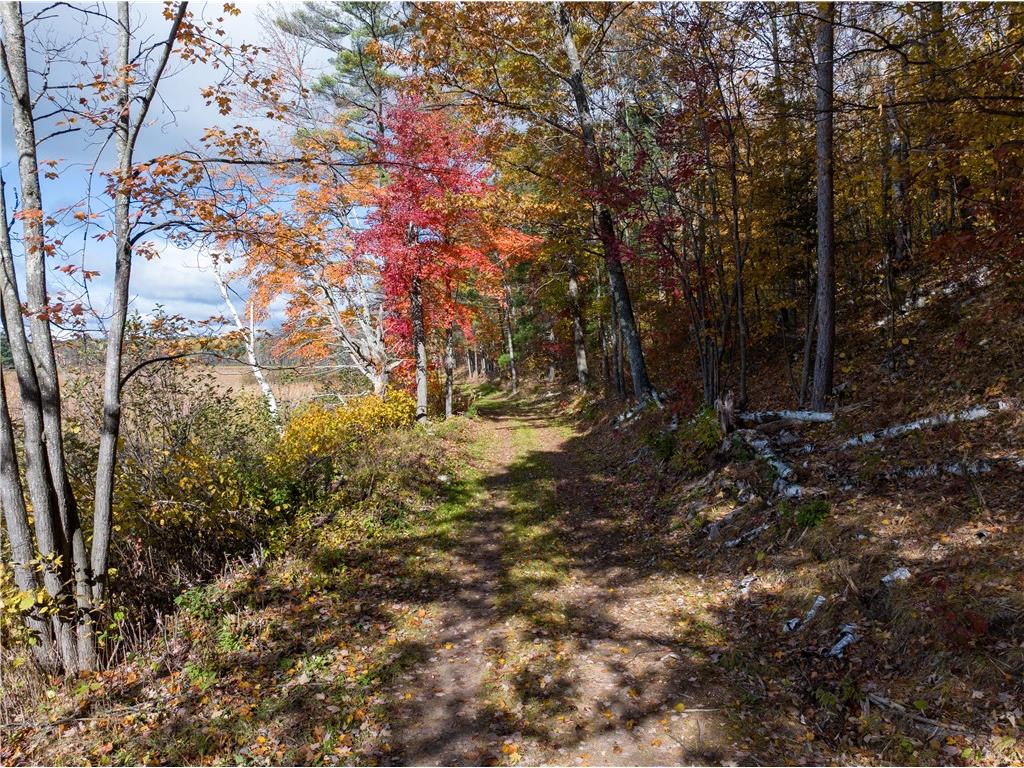 Lot 50 Ursa Road Hayward WI 54843 - Mosquito Brook 1597016 image30