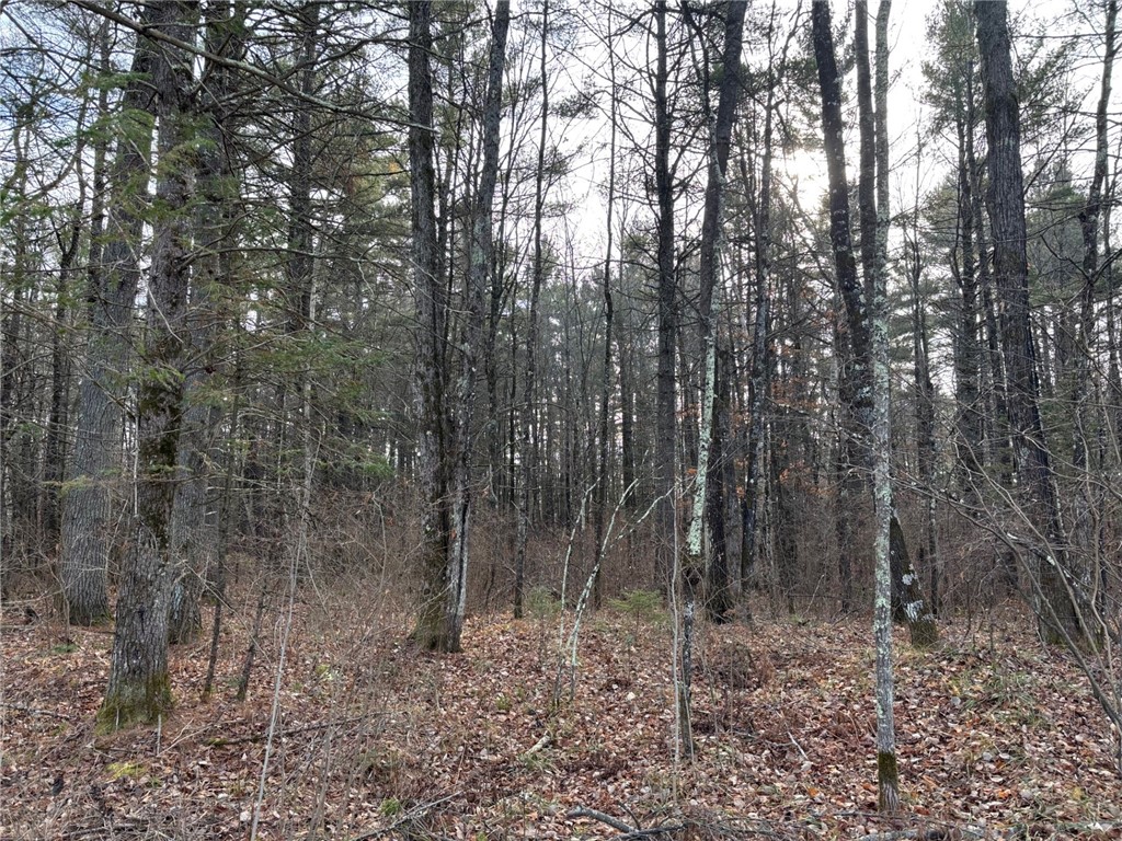 Lot 50 Ursa Road Hayward WI 54843 - Mosquito Brook 1597016 image47