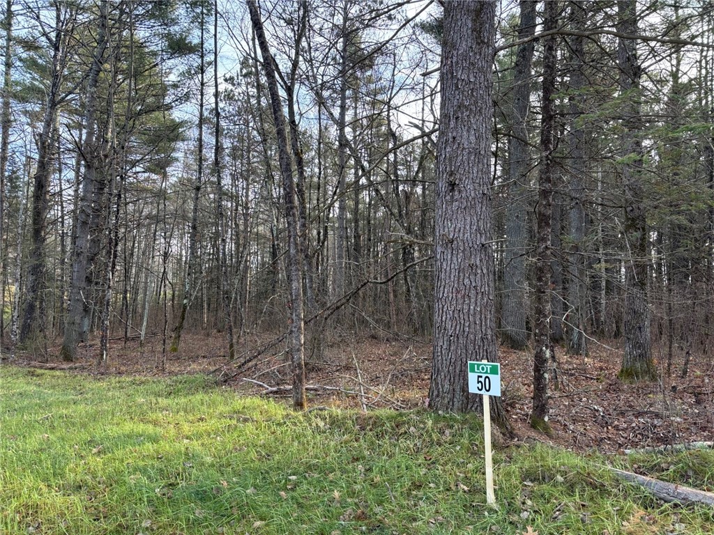 Lot 50 Ursa Road Hayward WI 54843 - Mosquito Brook 1597016 image5