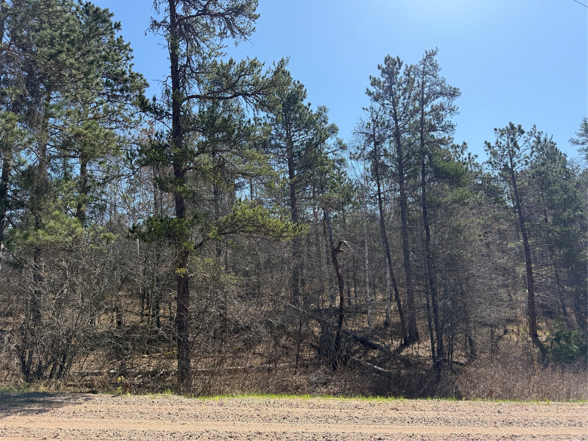 Lot 51 Aspen Lane Barnes WI 54873 1600931 image1