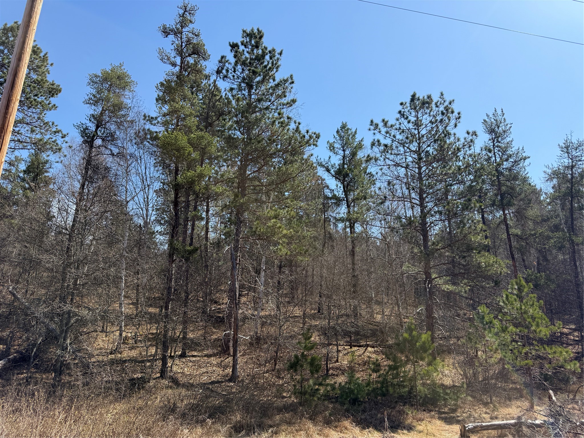 Lot 51 Aspen Lane Barnes WI 54873 1600931 image2