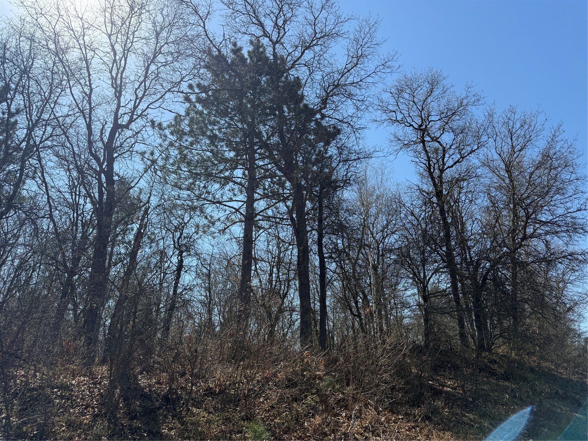 Lot 53 E Wilderness Court Barnes WI 54873 1600937 image2