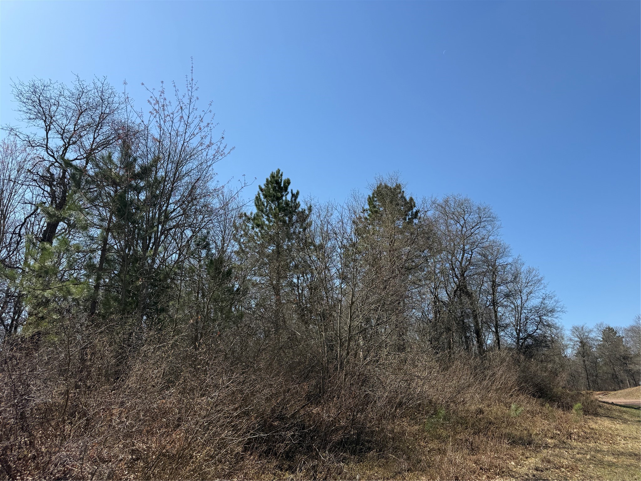 Lot 53 E Wilderness Court Barnes WI 54873 1600937 image3
