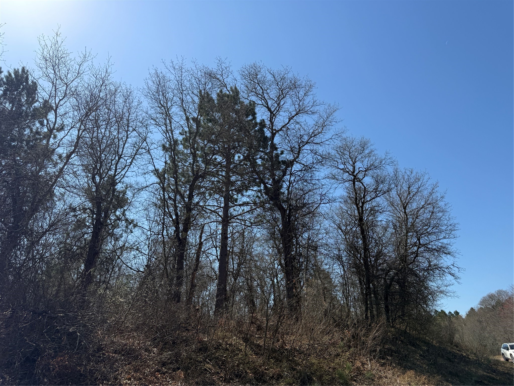 Lot 53 E Wilderness Court Barnes WI 54873 1600937 image4