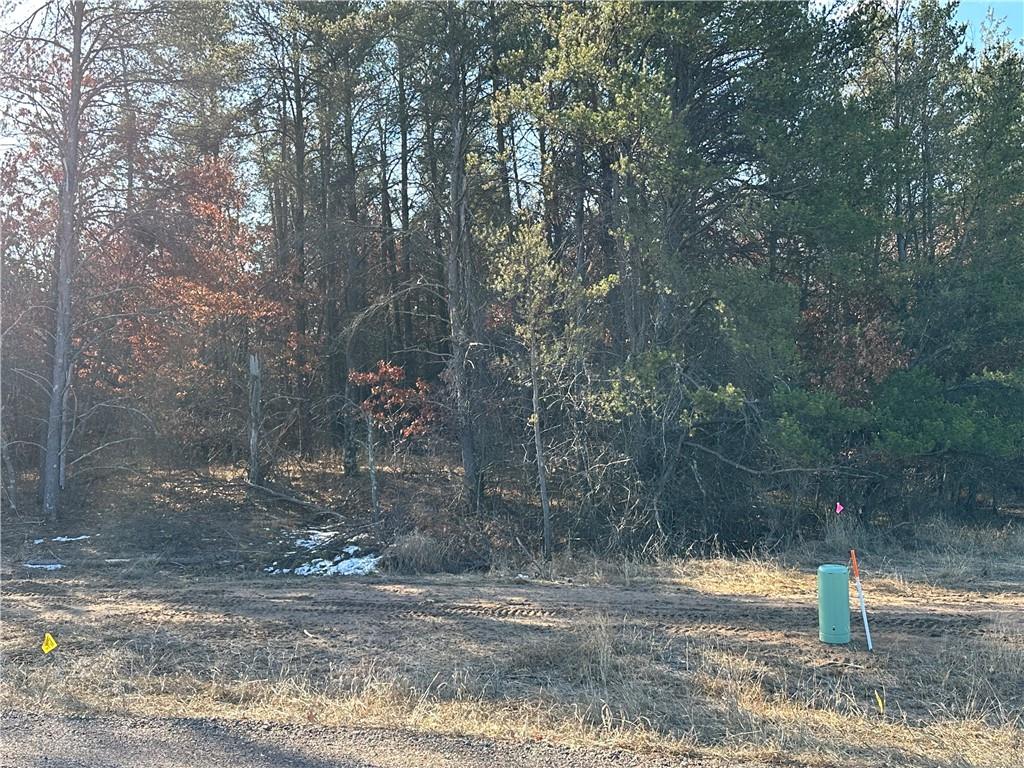 Lot 54 36th Avenue Chippewa Falls WI 54729 1576882 image1