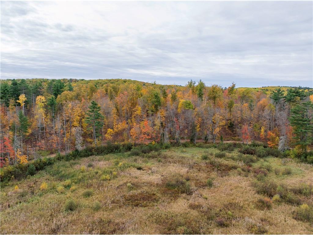 Lot 55 Vasa Road Hayward WI 54843 - Mosquito Brook 1597001 image25