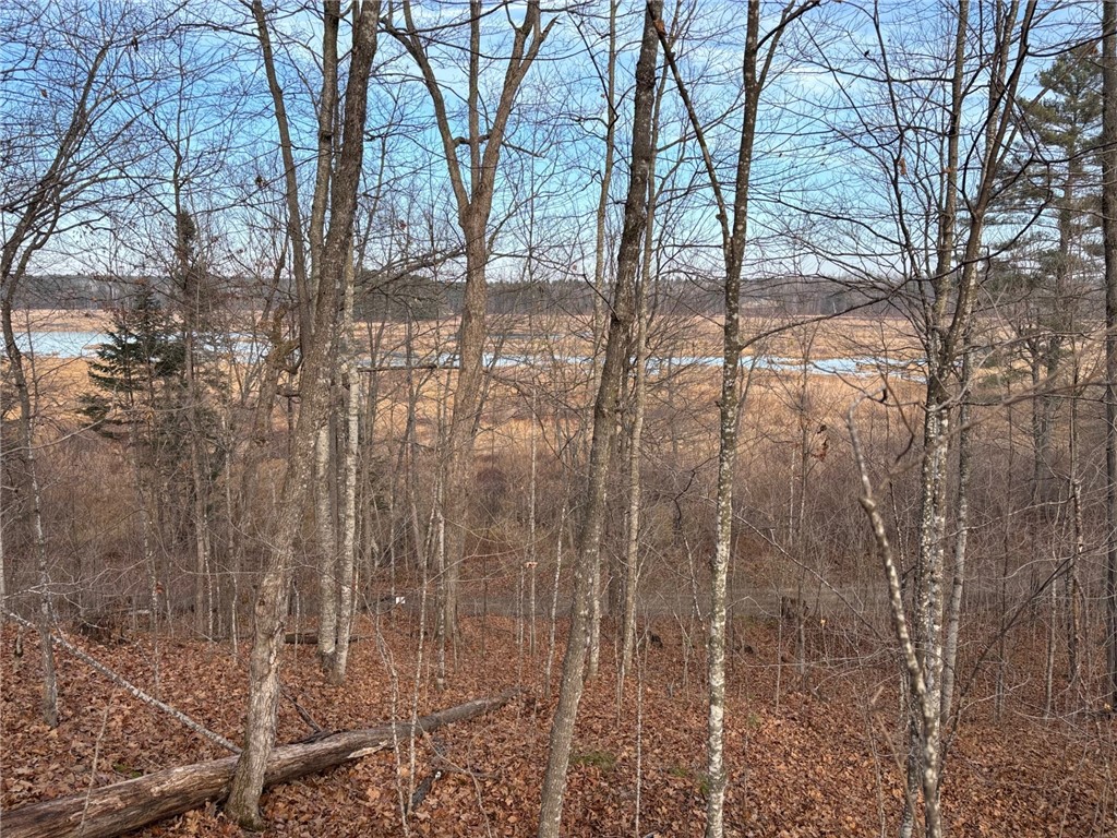 Lot 55 Vasa Road Hayward WI 54843 - Mosquito Brook 1597001 image3