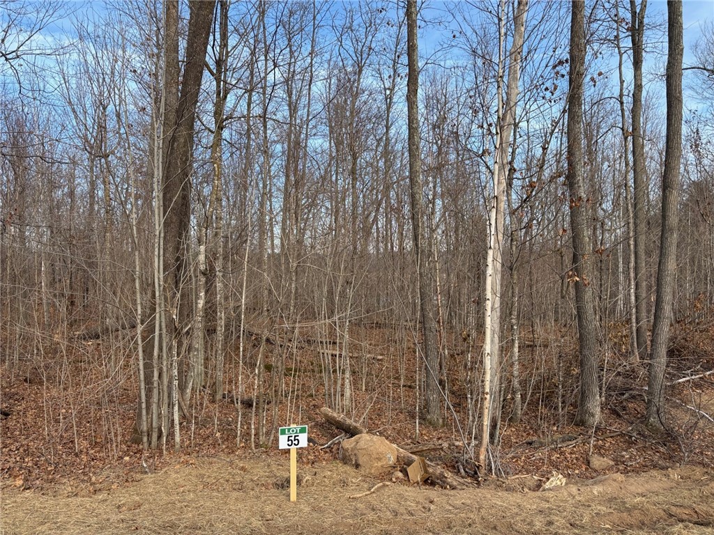 Lot 55 Vasa Road Hayward WI 54843 - Mosquito Brook 1597001 image34
