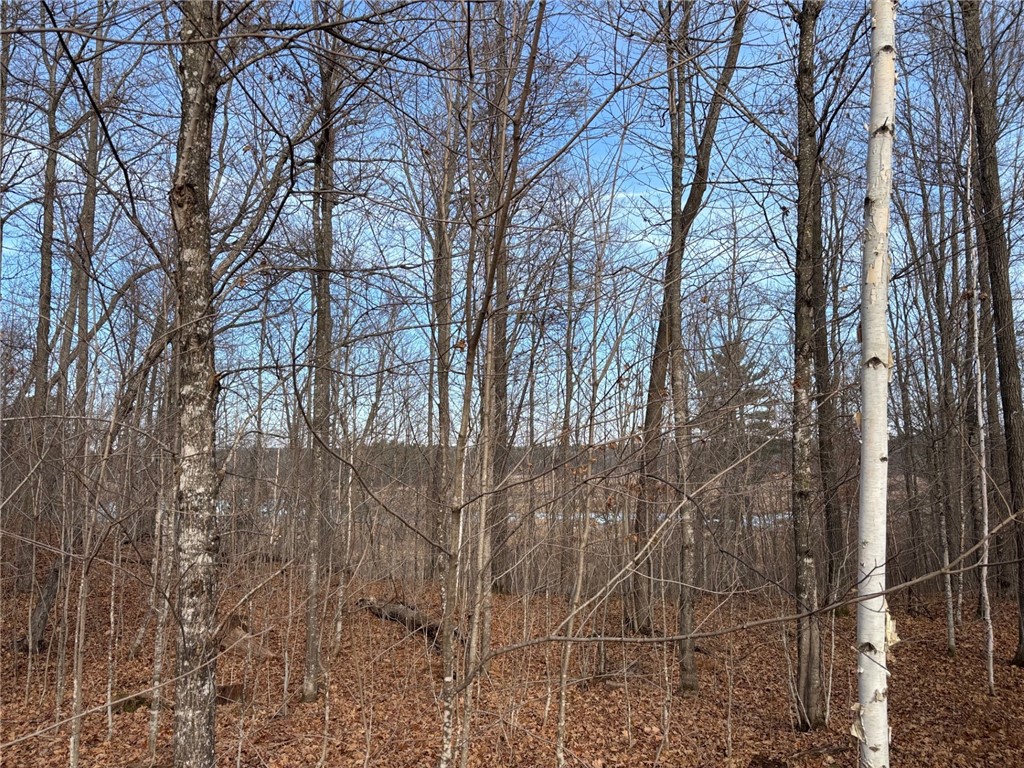 Lot 55 Vasa Road Hayward WI 54843 - Mosquito Brook 1597001 image35