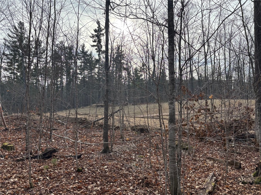 Lot 55 Vasa Road Hayward WI 54843 - Mosquito Brook 1597001 image36