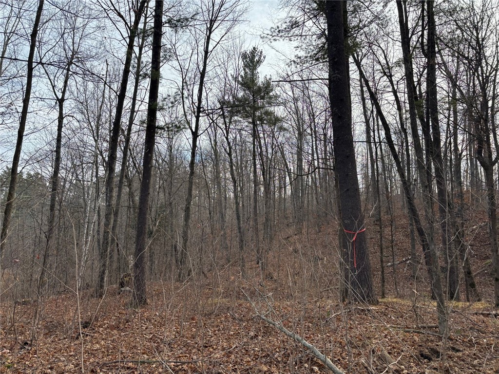 Lot 55 Vasa Road Hayward WI 54843 - Mosquito Brook 1597001 image39