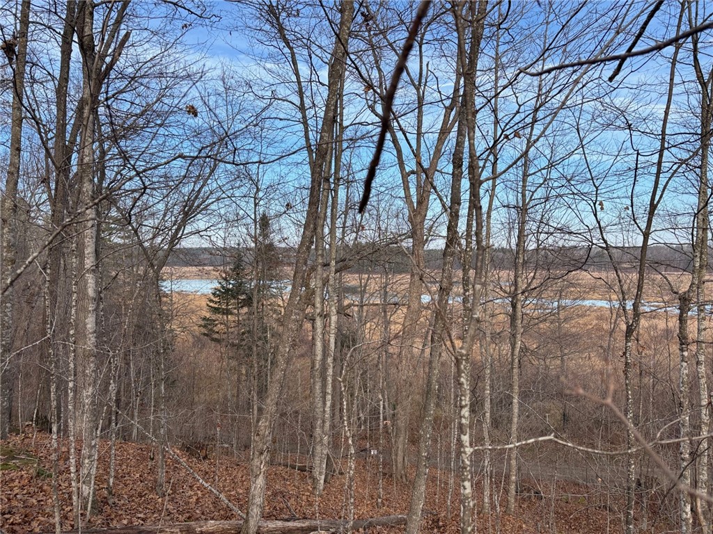 Lot 55 Vasa Road Hayward WI 54843 - Mosquito Brook 1597001 image4