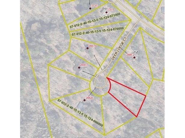Lot 56 Deer Lodge Court Danbury WI 54830 1563111 image1