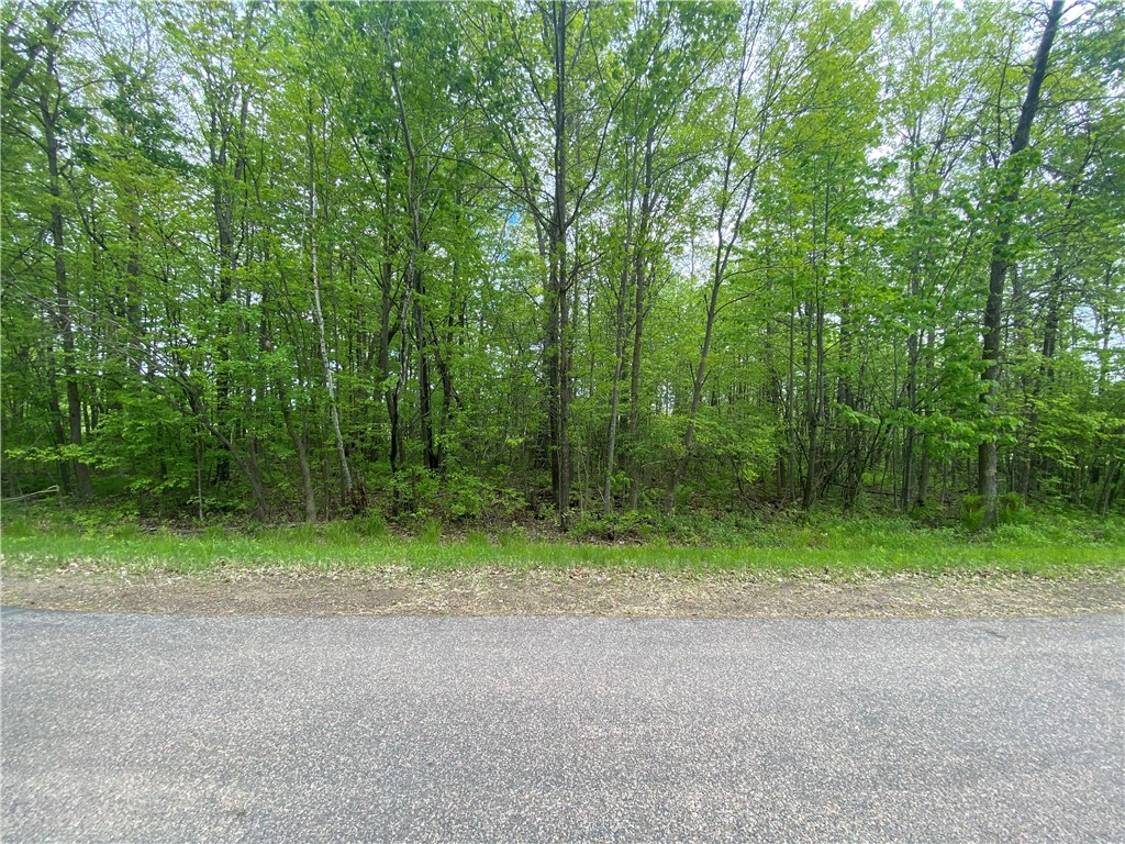 Lot 57 29 15/16 Avenue Moccasin Way Birchwood WI 54817 - Red Cedar 1592021 image1