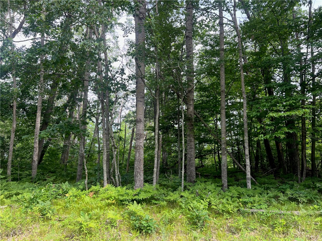 Lot 57 Spotted Fawn Road Danbury WI 54830 1585615 image2