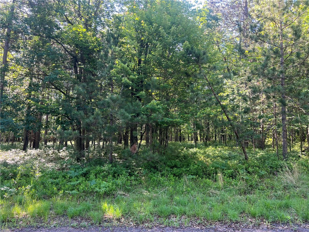 Lot 58 Hanscom Lake Trail Way Danbury WI 54830 1596647 image14