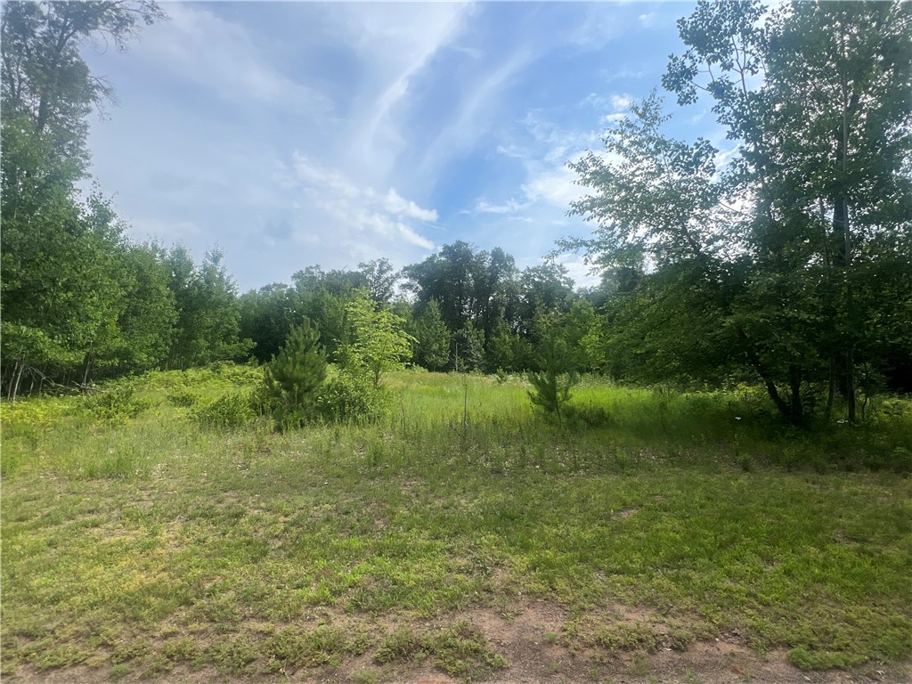 Lot 59 Hanscom Lake Trail Way Danbury WI 54830 1596649 image14